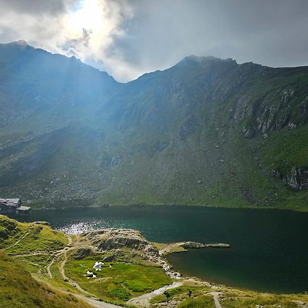 Casa Oaspeti Transfagarasan Διαμέρισμα Cîrţişoara Εξωτερικό φωτογραφία