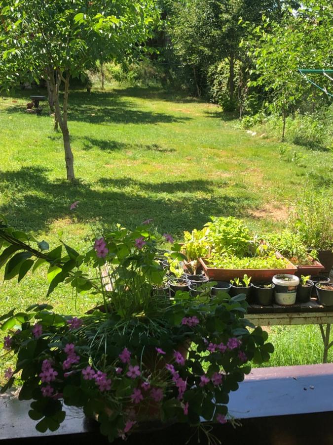 Casa Oaspeti Transfagarasan Διαμέρισμα Cîrţişoara Εξωτερικό φωτογραφία