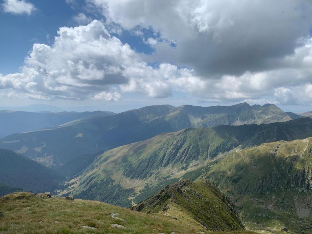 Casa Oaspeti Transfagarasan Διαμέρισμα Cîrţişoara Εξωτερικό φωτογραφία