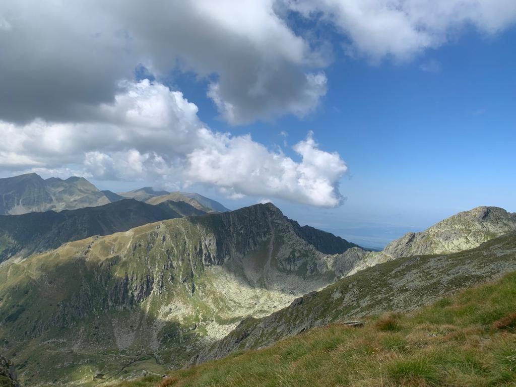 Casa Oaspeti Transfagarasan Διαμέρισμα Cîrţişoara Εξωτερικό φωτογραφία