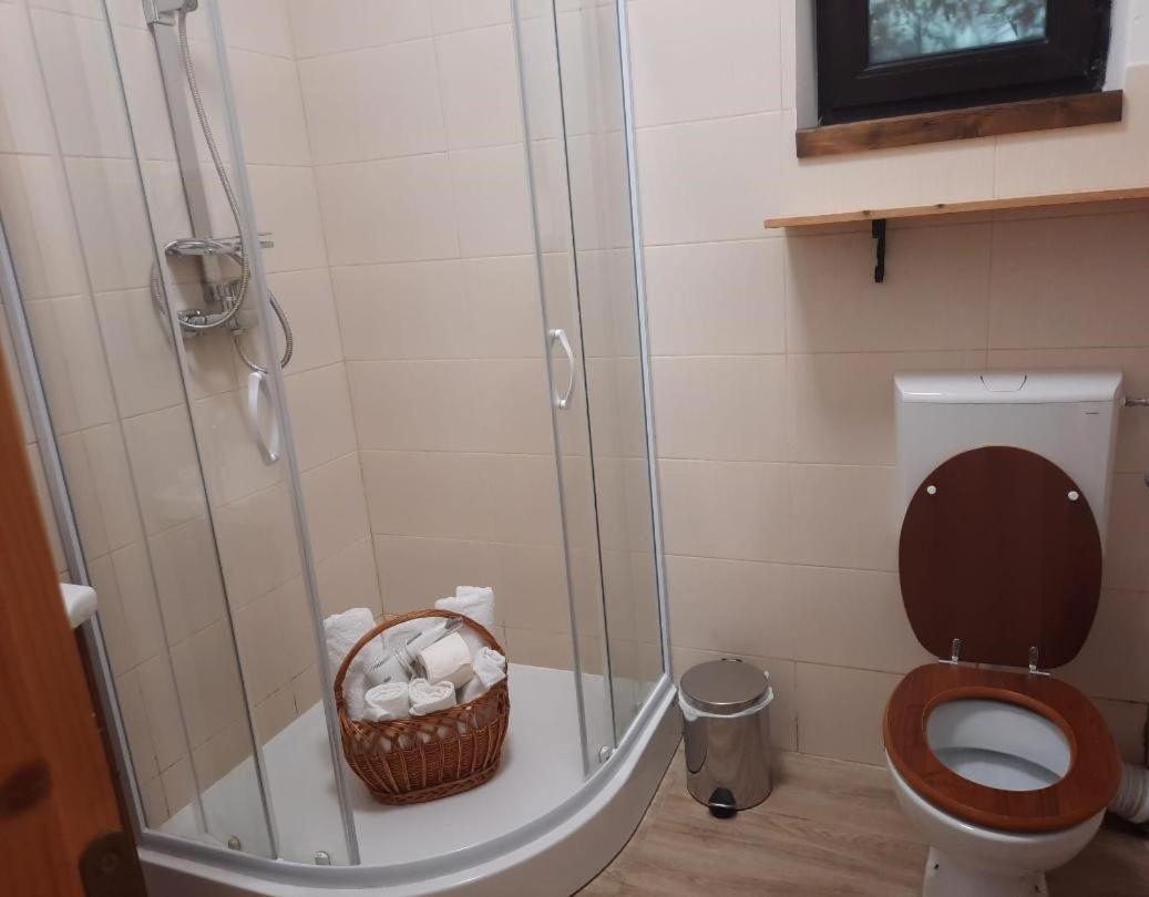 Casa Oaspeti Transfagarasan Διαμέρισμα Cîrţişoara Εξωτερικό φωτογραφία