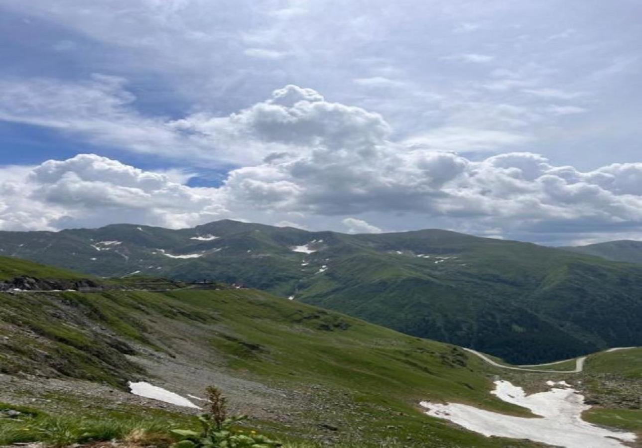 Casa Oaspeti Transfagarasan Διαμέρισμα Cîrţişoara Εξωτερικό φωτογραφία