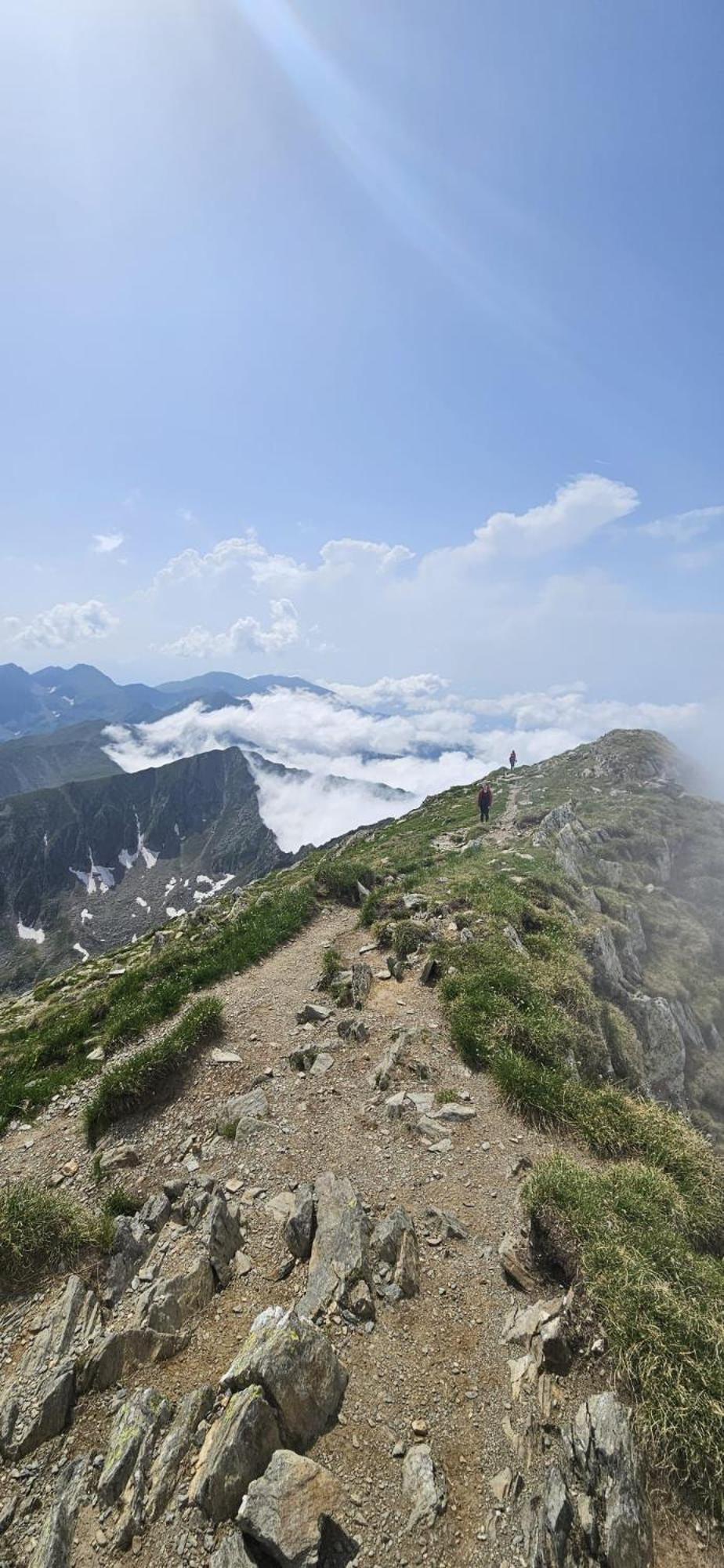 Casa Oaspeti Transfagarasan Διαμέρισμα Cîrţişoara Εξωτερικό φωτογραφία